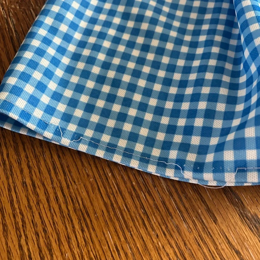 Wizard of Oz Dorothy Dress Costume, Blue Gingham‎ Girls Halloween, Small - Picture 3 of 8